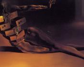 萨尔瓦多 达利 : 神人同形的橱柜